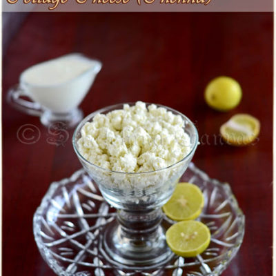 Homemade Cottage Cheese or Chenna