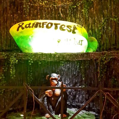 Restaurant Review | Rainforest Resto-Bar | Phoenix Market City | Pune