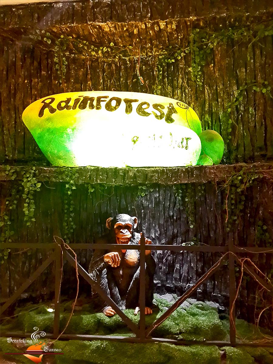 Restaurant Review | Rainforest Resto-Bar | Phoenix Market City | Pune