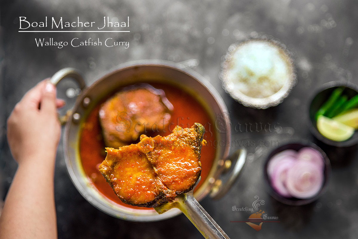 Bengali Boal Macher Tel Jhaal Food Photography Styling